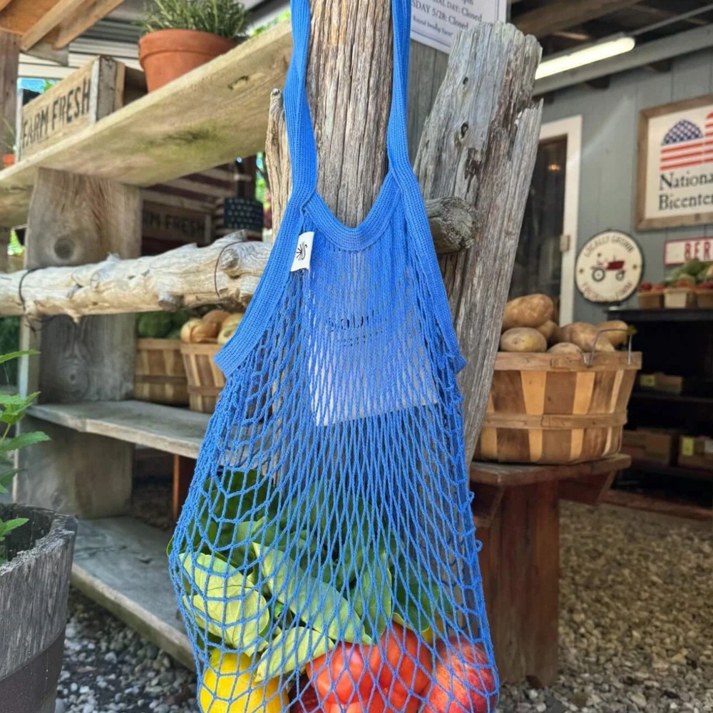 Blue Mesh Tote Bag